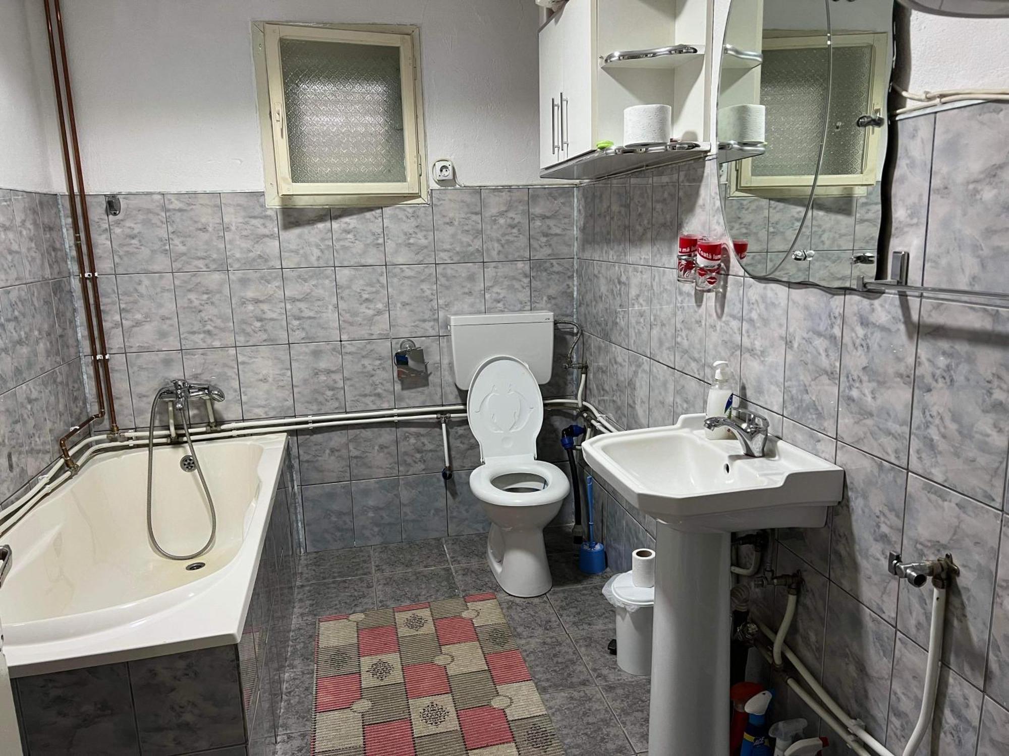 Vidra  Casa Danutヴィラ エクステリア 写真