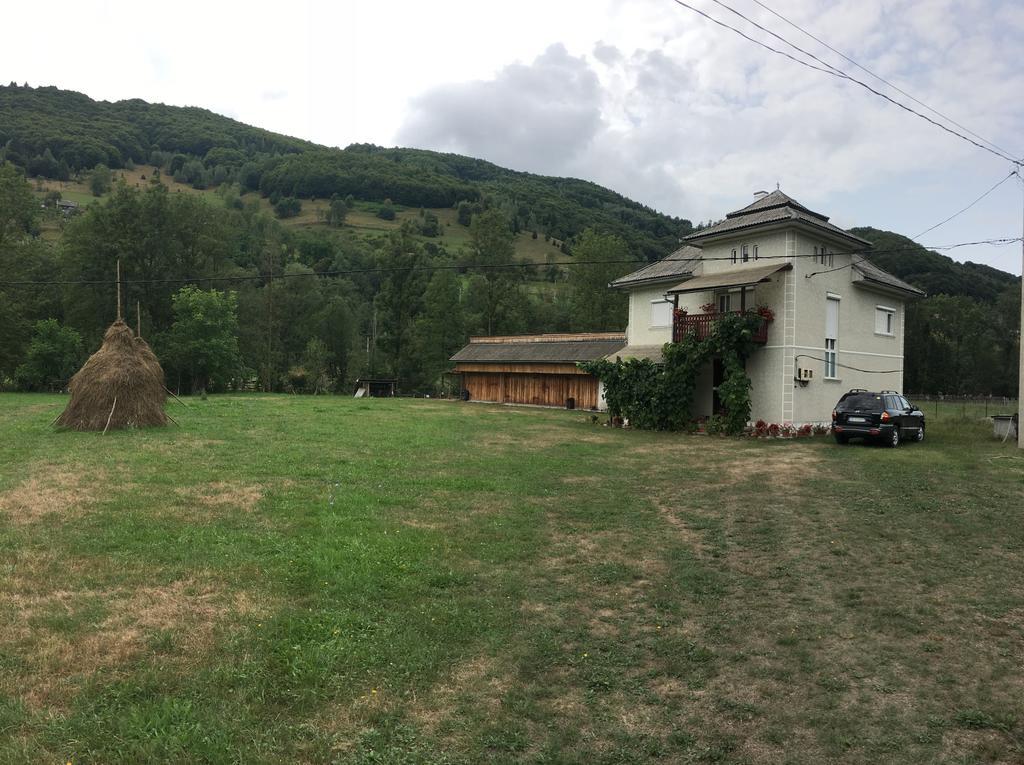 Vidra  Casa Danutヴィラ エクステリア 写真